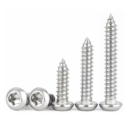HAISHANG 50 Stück Selbstschneidende Schraube M4x10mm,Blechschrauben Torx Flachkopfschrauben Edelstahl A2 V2A Holzschrauben Linsenkopf Vollgewinde Rundkopfschrauben Silber von HAISHANG