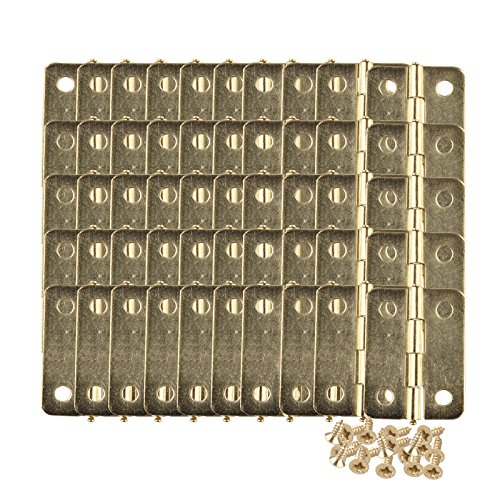 HALJIA 50 Stück Mini Scharnier-Anschlüsse für Schmuck, Schrank, Schublade, mit Messing beschichtet, 23 x 19 mm, mit 200 Stück Ersatzschrauben von HALJIA