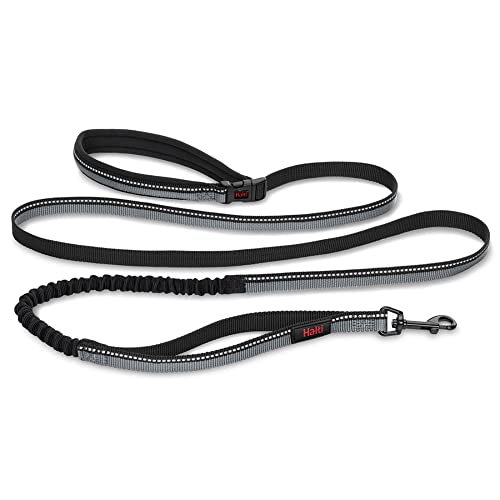 HALTI Aktiv Hundeleine – Griff mit Neopren-Polsterung, 3M-Reflektorgewebe und Stoßdämpfung. Freihandleine, Ideal zum Laufen mit mittelgroßen und großen Hunden (Größe Groß, Schwarz) HALTI Aktiv Hundeleine – Griff mit Neopren-Polsterung, 3M-Reflektorgewebe und Stoßdämpfung. Freihandleine, Ideal zum Laufen mit mittelgroßen und großen Hunden (Größe Groß, Schwarz) von Company of Animals