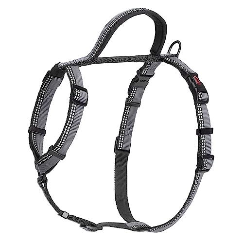 HALTI Walking Hundegeschirr – Mit weichem Neopren-gefüttertem Griff, 5 verstellbare Riemen und 3M-Reflektorgewebe. Geeignet für große Hunde (Größe L, Schwarz) HALTI Walking Hundegeschirr – Mit weichem Neopren-gefüttertem Griff, 5 verstellbare Riemen und 3M-Reflektorgewebe. Geeignet für große Hunde (Größe L, Schwarz) von Company of Animals
