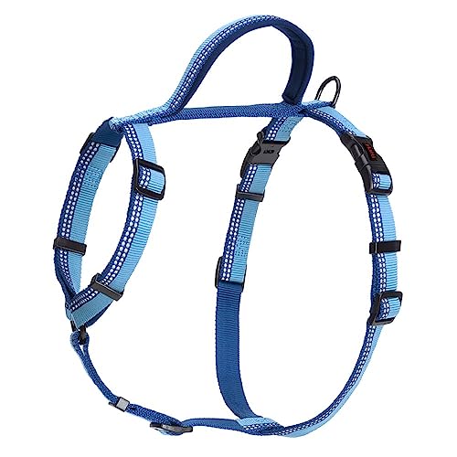 HALTI Walking Hundegeschirr – Mit weichem Neopren-gefüttertem Griff, 5 verstellbare Riemen und 3M-Reflektorgewebe. Geeignet für mittelgroße Hunde (Größe M, Blau) von Company of Animals