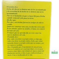 Ifa Buch Buchsammlung von HALUBotanicaBoutique