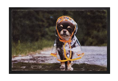 Hamat - Fußmatte Image - Raincoat Dog - 40 x 60 cm von Hamat