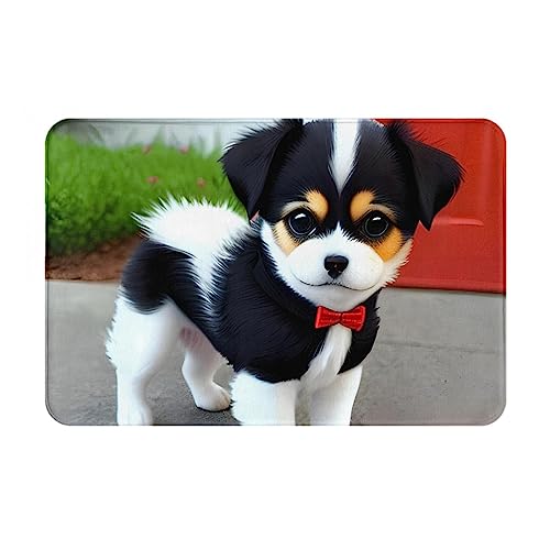 HAMISBEL Fußmatte, Schwarz und Weiß, 40,6 x 61 cm, geeignet für Badezimmer, Küche, Schlafzimmer, Bodenmatten, Heimdekoration, leicht zu reinigen. von HAMISBEL