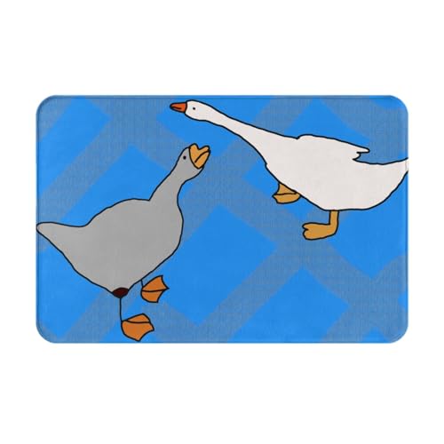 HAMISBEL Graue Gänse-Fußmatte, 40,6 x 61 cm, geeignet für Badezimmer, Küche, Schlafzimmer, Bodenmatten, Heimdekoration, leicht zu reinigen. von HAMISBEL
