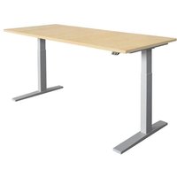 HAMMERBACHER XMKA19 höhenverstellbarer Schreibtisch 70,0 - 120,0 cm - elektrisch ahorn / silber von HAMMERBACHER