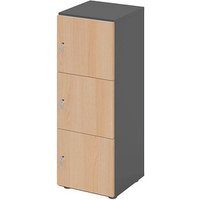 HAMMERBACHER Schließfachschrank grafit, eiche V234L3/G/E/DS, 3 Schließfächer 40,0 x 42,0 x 110,0 cm von HAMMERBACHER