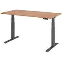 HAMMERBACHER XDKB16 elektrisch höhenverstellbarer Schreibtisch nussbaum rechteckig, C-Fuß-Gestell grau 160,0 x 80,0 cm von HAMMERBACHER