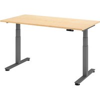 HAMMERBACHER XDSM16 elektrisch höhenverstellbarer Schreibtisch ahorn rechteckig, T-Fuß-Gestell grau 160,0 x 80,0 cm von HAMMERBACHER