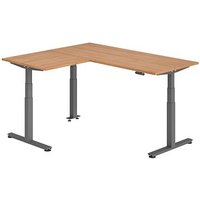 HAMMERBACHER XDSMW1908 elektrisch höhenverstellbarer Schreibtisch nussbaum rechteckig, T-Fuß-Gestell grau 180,0 x 160,0 cm von HAMMERBACHER