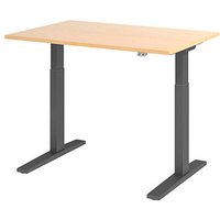 HAMMERBACHER XMKA12 elektrisch höhenverstellbarer Schreibtisch ahorn rechteckig, C-Fuß-Gestell grau 120,0 x 80,0 cm von HAMMERBACHER