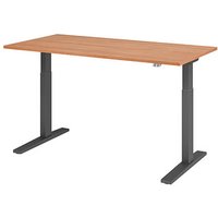 HAMMERBACHER XMKA16 elektrisch höhenverstellbarer Schreibtisch nussbaum rechteckig, C-Fuß-Gestell grau 160,0 x 80,0 cm von HAMMERBACHER