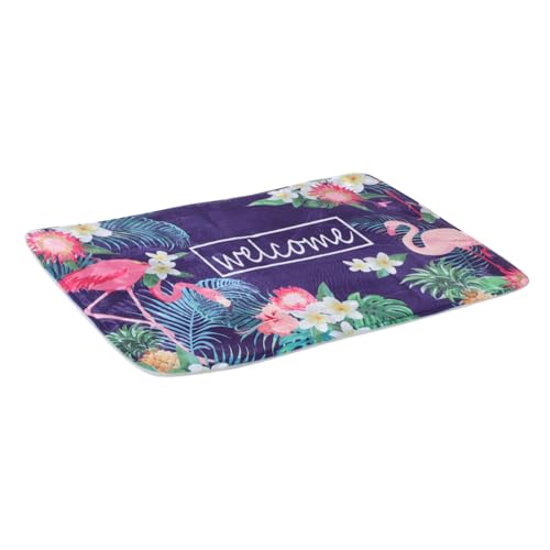 HAMPPLIES 1 Stück Flamingo -Bodenmatte fußmatte Küchenmatten Wohnzimmer Matte von HAMPPLIES