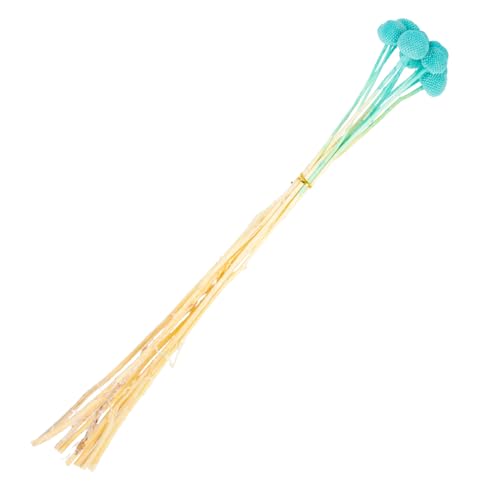 HAMPPLIES 10 Stück Trockenblumenmaterial selber Machen getrocknet Craspedia selber Machen Layout-Dekore Elegante DIY Blumen Blumenarrangements liefern Blumenschmuck natürliche Craspedia Blau HAMPPLIES 10 Stück Trockenblumenmaterial selber Machen getrocknet Craspedia selber Machen Layout-Dekore Elegante DIY Blumen Blumenarrangements liefern Blumenschmuck natürliche Craspedia Blau von HAMPPLIES