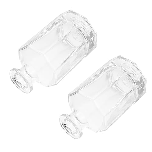 HAMPPLIES 2stücke Kreative Aromatherapie-Flaschen Aus Glas Elegante Duftspender Für Ätherische Öle Parfums Und Mehr Dekorativ Und Funktional Für Zuhause Und Büro von HAMPPLIES