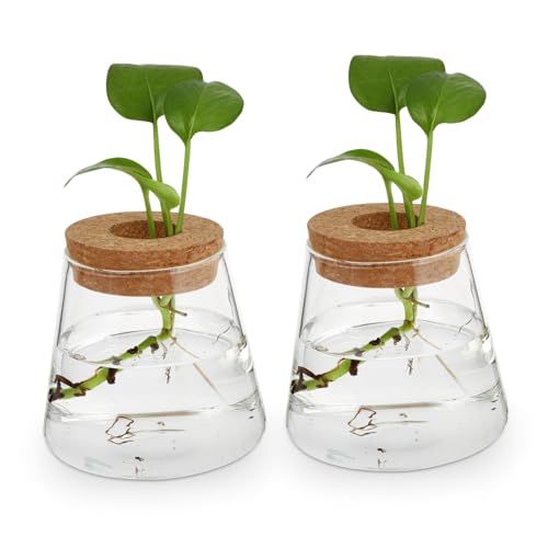 HAMPPLIES 2 Stück Teiliges Hydroponik Glasgefäß Klare Glasvasen für Pflanzen Stilvolle Desktop Gartendekoration Transparentes Ökosystem für Büro und HAMPPLIES 2 Stück Teiliges Hydroponik Glasgefäß Klare Glasvasen für Pflanzen Stilvolle Desktop Gartendekoration Transparentes Ökosystem für Büro und von HAMPPLIES