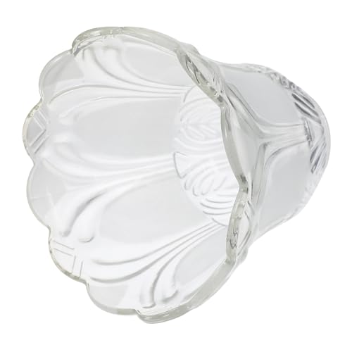 HAMPPLIES 2 Stück Transparente Glas Lampenschirme Praktische Lampenabdeckungen für Kronleuchter und Pendelleuchten Einfache Montage Staubschützende Lichtabdeckungen für Wohn und von HAMPPLIES