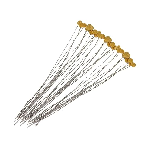 HAMPPLIES 20stücke Trockenblumen Craspedia Trockenblumenstrauß Für Dekoration Natur Blumen Geschenke Für Hochzeit Geburtstag Zimmerdeko von HAMPPLIES