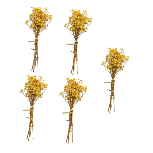 HAMPPLIES 5 Stück Teiliges Getrocknetes Schleierkraut Sträuße Vase Blumenarrangement Langlebig Wetterbeständig für DIY Dekoration Wohnzimmer Schlafzimmer von HAMPPLIES
