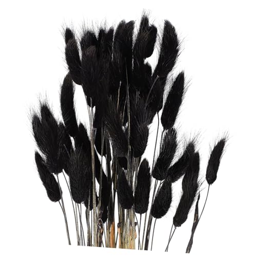 HAMPPLIES 60 Stück Schwarze Getrocknete Hasenschwanz Deko Natürliche Trockenblumen für Hochzeit Vintage Boho Bastelsträuße Tisch und Raumdekoration Bunny Tails für Festliche Anlässe HAMPPLIES 60 Stück Schwarze Getrocknete Hasenschwanz Deko Natürliche Trockenblumen für Hochzeit Vintage Boho Bastelsträuße Tisch und Raumdekoration Bunny Tails für Festliche Anlässe von HAMPPLIES