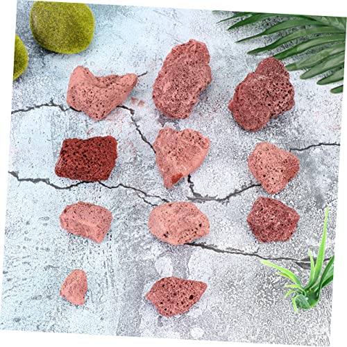 HAMPPLIES Bio Lavasteine Filtermedium Mittlere Poröse Vulkangesteine Aquarium Dekosteine für Klare Wasserqualität und Pflanzenpflege von HAMPPLIES