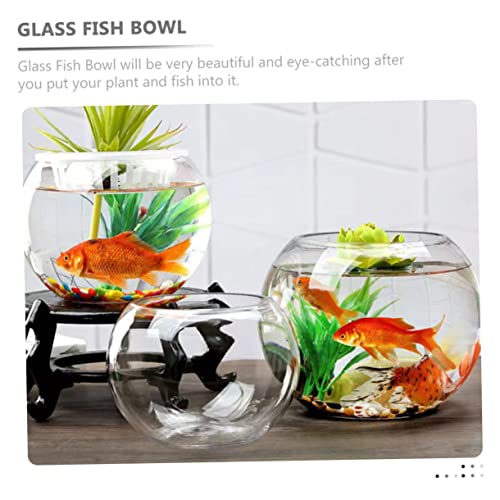 HAMPPLIES Kleines Rundes Aquarium aus Klarem Kompakter Goldfischglas Fischtank für Zuhause und Büro Vielseitig als Hydroponikvase und Dekoratives Desktop Ökosystem Einfach zu Reinigen HAMPPLIES Kleines Rundes Aquarium aus Klarem Kompakter Goldfischglas Fischtank für Zuhause und Büro Vielseitig als Hydroponikvase und Dekoratives Desktop Ökosystem Einfach zu Reinigen von HAMPPLIES
