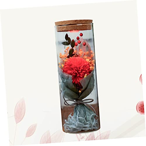 HAMPPLIES Leuchtende Blumendekoration Flaschenlicht mit Konservierten Seifenblumen Romantisches zum Geburtstag Muttertag Hochzeit Warmes für Wohnzimmer und Party von HAMPPLIES