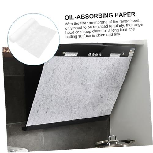 HAMPPLIES Ölabsorbierendes Küchenpapier Fettabweisendes Biologisch Abbaubares Ölfilterpapier für Dunstabzugshauben Zuschneidbar Schützt vor Fettrückständen in Haushalt und Gastronomie HAMPPLIES Ölabsorbierendes Küchenpapier Fettabweisendes Biologisch Abbaubares Ölfilterpapier für Dunstabzugshauben Zuschneidbar Schützt vor Fettrückständen in Haushalt und Gastronomie von HAMPPLIES