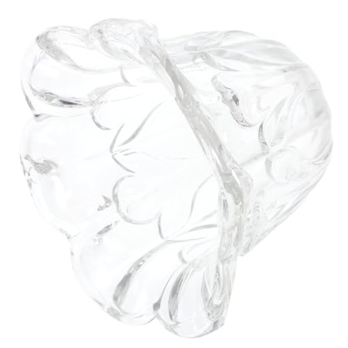 HAMPPLIES Transparent mattierter Glaslampenschirm mit Blumenmuster Dekorativer Lampenschirm für Deckenleuchte Wandleuchte und Nachttischlampe Stilvolle Lichtabdeckung für Wohnzimmer von HAMPPLIES