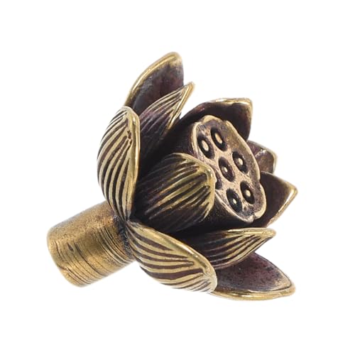 HAMPPLIES Vintage Lotus Blume Messing Türgriff Antik Stil Kabinett Griff Robuster Vintage Messing Beschlag Für Küche Kleiderschrank Möbel Mit Komfortablem Griff Und Pflegeleicht HAMPPLIES Vintage Lotus Blume Messing Türgriff Antik Stil Kabinett Griff Robuster Vintage Messing Beschlag Für Küche Kleiderschrank Möbel Mit Komfortablem Griff Und Pflegeleicht von HAMPPLIES