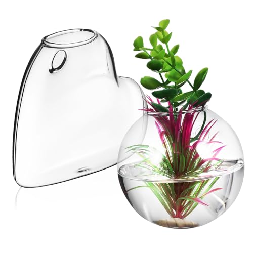 HANABASS 2 Hängende Wandvasen aus Klarem Borosilikatglas Teiliges Wasserfeste Pflanzenhalter für Hydroponik Transparente Glasblumentöpfe zur Wanddekoration und Zimmerbegrünung von HANABASS