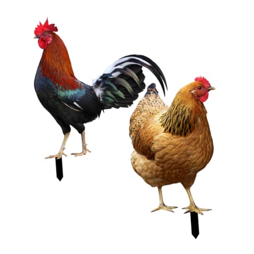 HANABASS 2 Stück Doppelseitiger Gartenstecker Huhn Realistische Hühnerform Acryl Wetterfeste Außen Dekoration für Garten Rasen und Blumenbeete Lebendige Gartenfigur für Terrasse und HANABASS 2 Stück Doppelseitiger Gartenstecker Huhn Realistische Hühnerform Acryl Wetterfeste Außen Dekoration für Garten Rasen und Blumenbeete Lebendige Gartenfigur für Terrasse und von HANABASS