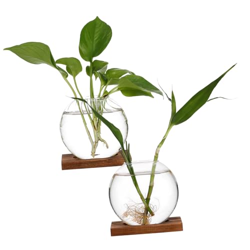 HANABASS 2 Teiliges Glasvase Bauchig und Gestreift aus Robustem Desktop Blumenvase für Kreative Blumenarrangements Dekorativer Pflanzenhalter als Tischmitte und von HANABASS
