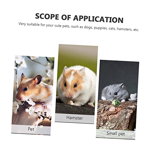 HANABASS Hamsterbett S Weiche Kuschelmattensitzauflage für Kleintiere Haustier Schlafen Ausruhen Zufällige Farbe Muster Zufällige Farbe HANABASS Hamsterbett S Weiche Kuschelmattensitzauflage für Kleintiere Haustier Schlafen Ausruhen Zufällige Farbe Muster Zufällige Farbe von HANABASS