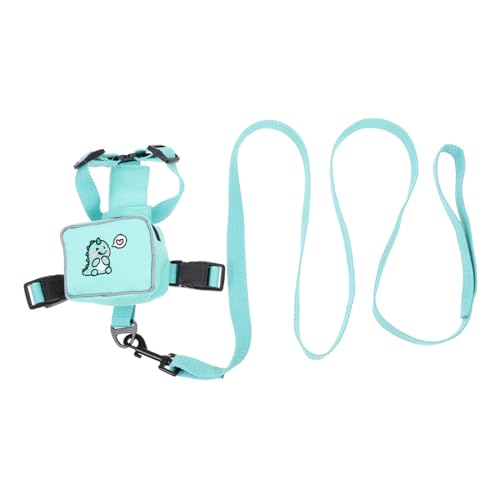 HANABASS Hunderrucksack Geschirr mit Leine Verstellbar Langlebig und Atmungsaktiv Kleiner Haustierrucksack für Welpen und Katzen Sicherer Trainingsgurt für Grün Dinosaurier von HANABASS