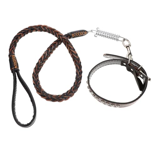 HANABASS Leine und Halsband aus Robustem Rindsleder für Mittlere und Große Hunde Ausbruchssichere Reißfeste Hundeleine mit Flachem Knickfreiem Seil Leicht zu Verstauen und Komfortabel im von HANABASS