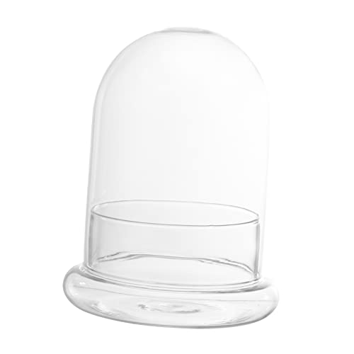 HANABASS Miniaturlandschaft Flasche mit Glasdome und Sockel Dekorative Tischflasche für Pflanzen und Moos für Gartenarbeit Schreibtisch Wohnzimmer und HANABASS Miniaturlandschaft Flasche mit Glasdome und Sockel Dekorative Tischflasche für Pflanzen und Moos für Gartenarbeit Schreibtisch Wohnzimmer und von HANABASS