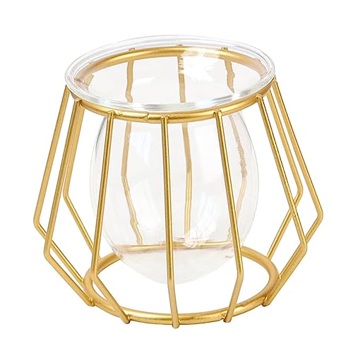 HANABASS Moderner Sechseckiger Glasblumenhalter Goldfarben Langlebig Transparent für Zimmer Büro Kreative Pflanzendekoration Geschenkidee von HANABASS