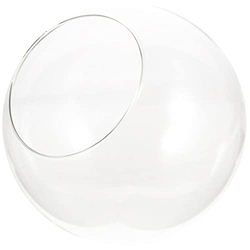 HANABASS Terrarium DIY Landschaftsbau Behälter Hochtransparente Ökologische Flasche für Sukkulenten Pflanzen für Büro Deko und Partytische von HANABASS