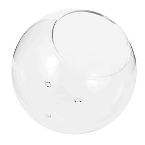 HANABASS Terrarium mit Dreibein Ständer Klares Robustes Desktop Aquarium Multifunktionale Dekorative Schale Durchmesser Stilvolle Glasvase für Zimmerpflanzen und Mikrolandschaften von HANABASS