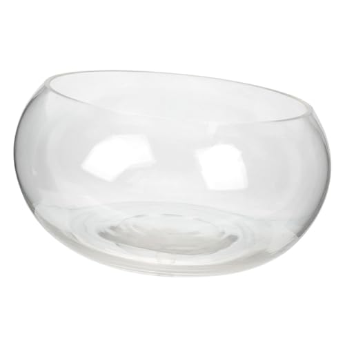 HANABASS Transparente Kleine Fischschale aus Stabilem Glas Runde Hydroponik Pflanzenschale Kompakte Aquarium Vase für Goldfische als Tischdeko und Miniteichglas von HANABASS