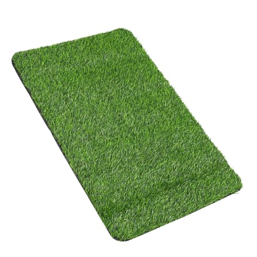 HANABASS Waschbarer Kunstrasen Teppich rutschfest Indoor Outdoor Grasmatte für Hunde Türmatte Patio Fußmatte Vielseitig als Eingangsmatte Badezimmermatte Nutzbar HANABASS Waschbarer Kunstrasen Teppich rutschfest Indoor Outdoor Grasmatte für Hunde Türmatte Patio Fußmatte Vielseitig als Eingangsmatte Badezimmermatte Nutzbar von HANABASS