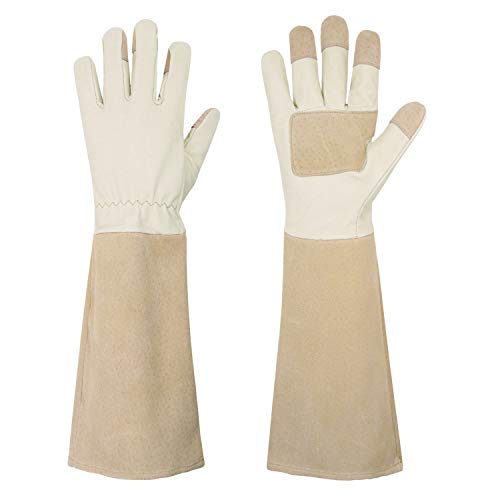 HANDLANDY Lange Gartenhandschuhe für Damen und Herren, Schweinsleder, Rosen-Beschneidehandschuhe, atmungsaktiv und langlebig, mit dornfestem Handschuh (klein, beige) von HANDLANDY