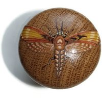Großer Mottenknopf, Eichenholzknopf, Insekt Design, Brauner Motten, Holzmaserung Up Cycle Holzmöbel, Holz Kommode, Schrankknöpfe, Schränke von HANDPAINTEDbydesign