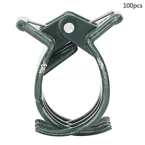 HANHEFLY Pflanzenclip robust erleichtert praktischer Garten Pflanzen 100pcs Kunststoff von HANHEFLY