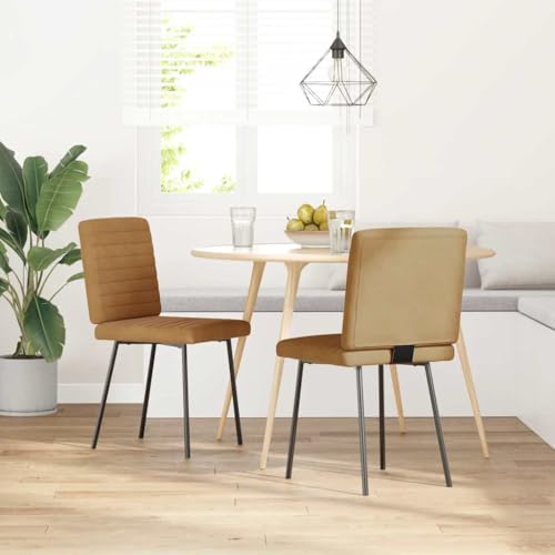 HANJIEFACAI Esszimmerstühle 2 STK. Braun Samt Küchenstühle Modern Schminktisch Stuhl Esstisch Stühle Stuhl Schminktisch für Wohnzimmer Balkon Restaurant Park von HANJIEFACAI
