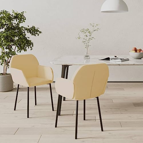 HANJIEFACAI Esszimmerstühle 2 STK. Creme Samt Küchenstühle Modern Esszimmerstühle Schminktisch Stuhl Stuhl Für Schminktisch für Wohnzimmer Küche Balkon Garten von HANJIEFACAI