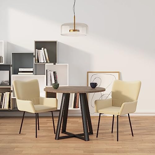 HANJIEFACAI Esszimmerstühle 2 STK. Creme Samt Stuhl Für Schminktisch Esszimmerstühle Dining Chair Lounge Sessel für Restaurant Garten Wohnzimmer Balkon von HANJIEFACAI