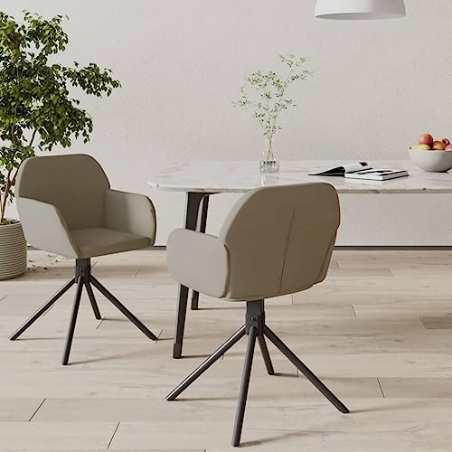 HANJIEFACAI Esszimmerstühle 2 STK. Drehbar Hellgrau Samt Küchenstühle Modern Esszimmerstühle Esstisch Stühle Dining Chair für Wohnzimmer Balkon Restaurant Küche HANJIEFACAI Esszimmerstühle 2 STK. Drehbar Hellgrau Samt Küchenstühle Modern Esszimmerstühle Esstisch Stühle Dining Chair für Wohnzimmer Balkon Restaurant Küche von HANJIEFACAI