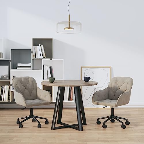 HANJIEFACAI Esszimmerstühle 2 STK. Drehbar Hellgrau Samt Küchenstühle Modern Schminktisch Stuhl Schminkstuhl Essstühle für Restaurant Balkon Küche Wohnzimmer von HANJIEFACAI